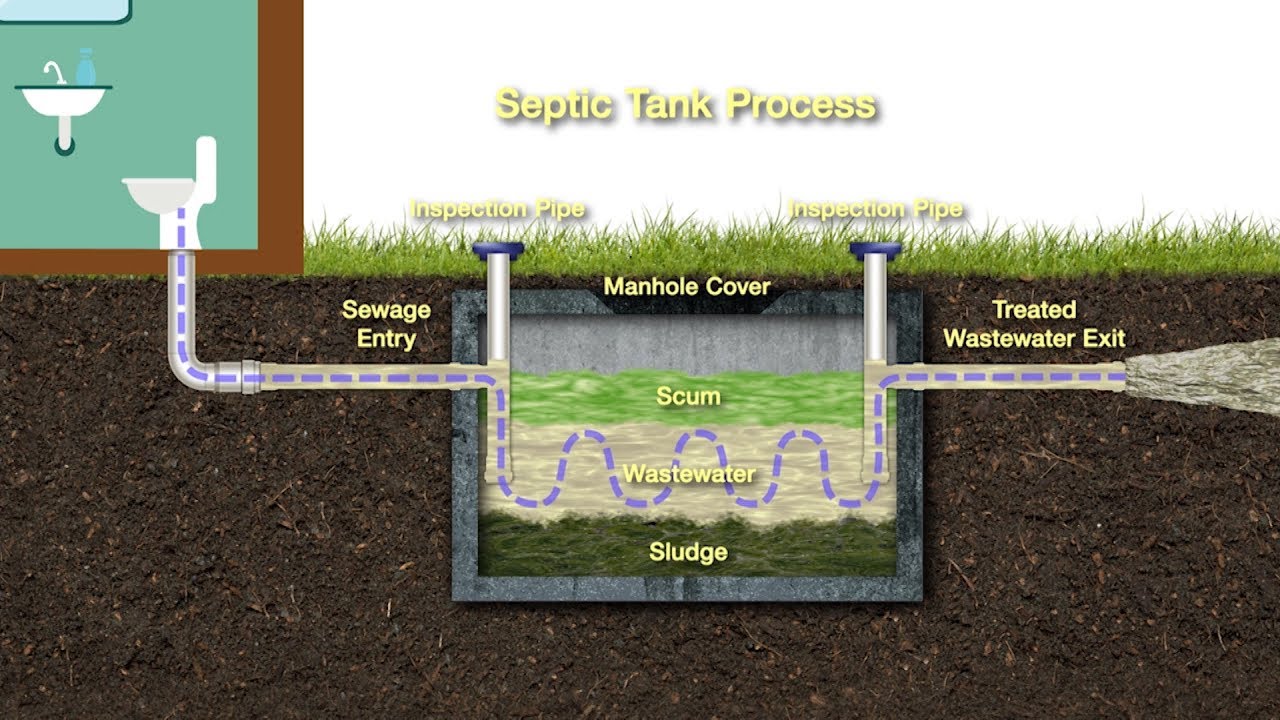 What Drain Cleaner is Safe for Septic Systems: A Comprehensive Guide -  Intown Plumbing