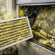 How Maryland’s Spring Pollen Season Is Destroying Your HVAC Filter Right Now